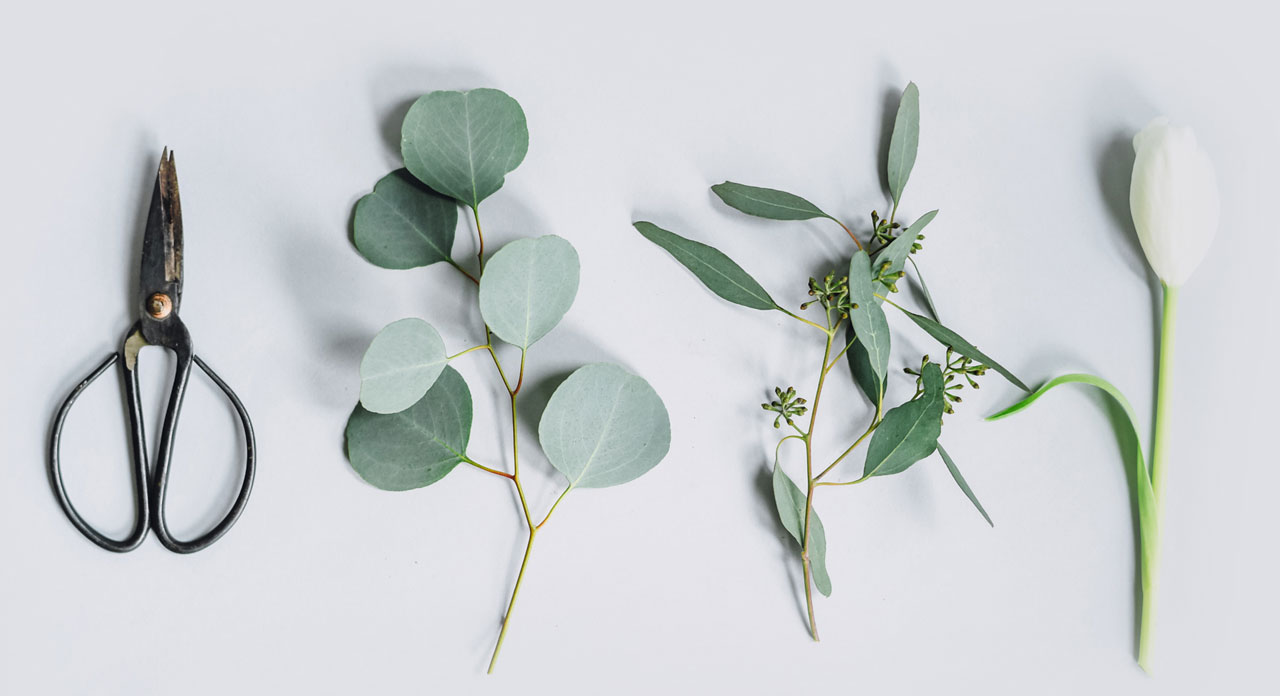 florist 03 HISentrepreneur Member Site!