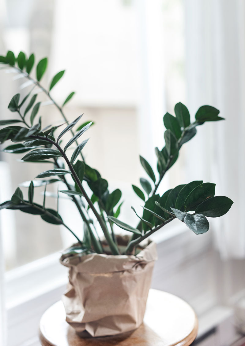 florist 10 HISentrepreneur Member Site!